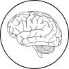 Fonction cognitive et mémoire