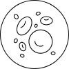 Globules rouges et hémoglobine